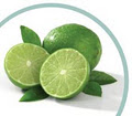Green Lime Design & Eco-Promotions logo