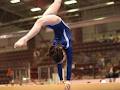 Halton Hills Gymnastics Club image 5
