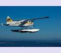 Harbour Air Seaplanes image 2