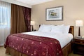 Hilton Suites Winnipeg Airport image 2