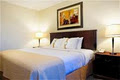 Holiday Inn Hotel & Suites Lloydminster image 4