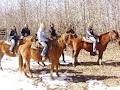 Home On The Range Horseback Riding image 5