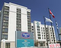 Homewood Suites By Hilton Toronto Hotel image 2