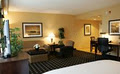Homewood Suites By Hilton Toronto Hotel image 6