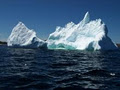 Iceberg Quest Boat Tours logo