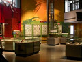 Insectarium image 1