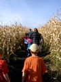 LACOMBE CORN MAZE inc. logo