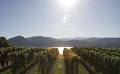 Lake Breeze Vineyards image 2