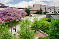 Lakehead University image 5