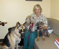 Lakeshore Veterinary Clinic image 3