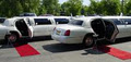 Lifestyle Limousine image 1