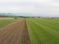 Macdonnell Turf Farms image 2