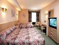 Maple Ridge Travelodge image 3