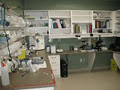 McKenzie Veterinary Services image 5