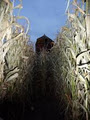 McMillan Farms - Corn Maze and Pumpkin Patch image 3