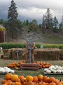 McMillan Farms - Corn Maze and Pumpkin Patch logo