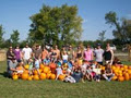 Meandher Creek Pumpkin Patch image 3