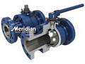 Meridian Valve | Wolseley Canada image 1