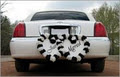 Mississauga Wedding & Prom limos image 3