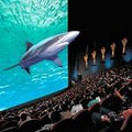 National Geographic IMAX Theatre image 3