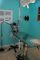 Norgate Animal Hospital image 3