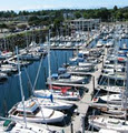 Oak Bay Marina logo