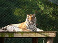 Oaklawn Farm Zoo image 6