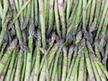 Okanagan Asparagus Farm logo