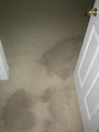Omega Dry Carpet, Crime & Trauma Cleaning Inc. image 1