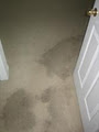 Omega Dry Carpet, Crime & Trauma Cleaning Inc. logo