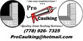 *PRO CAULKING × Greater Vancouver BC Joint Sealing Contractor + Services Company logo