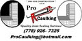 *PRO CAULKING × Greater Vancouver BC Joint Sealing Contractor + Services Company image 1