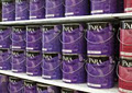 Para Paints Color Company image 2