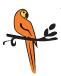 Parrot Adopt Southern Ontario logo