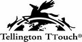 Perthdog Tellington TTouch Training image 3