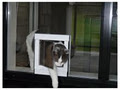Pet Access Solutions image 2