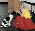 Puppy Power & Canine Communication Studies image 2