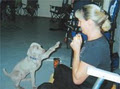 Puppy Power & Canine Communication Studies image 1