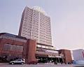 Radisson Riverfront Hotel Windsor image 4