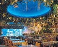 Rainforest Cafe Niagara Falls image 4