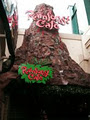 Rainforest Cafe Niagara Falls image 5