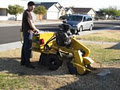 Ramsden's Tree Service image 3