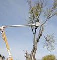 Ramsden's Tree Service image 1