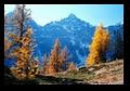 Re/Max Alpine Realty image 6