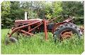 Roots Down Organic Farm image 3