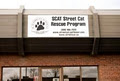SCAT Street Cat Rescue Program logo