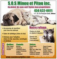 SOS Pitou etMinou inc. image 6