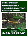 Saugeen Riverbank Campground image 5