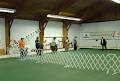 Sault Ste Marie Kennel Club image 2
