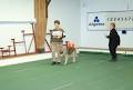 Sault Ste Marie Kennel Club image 3